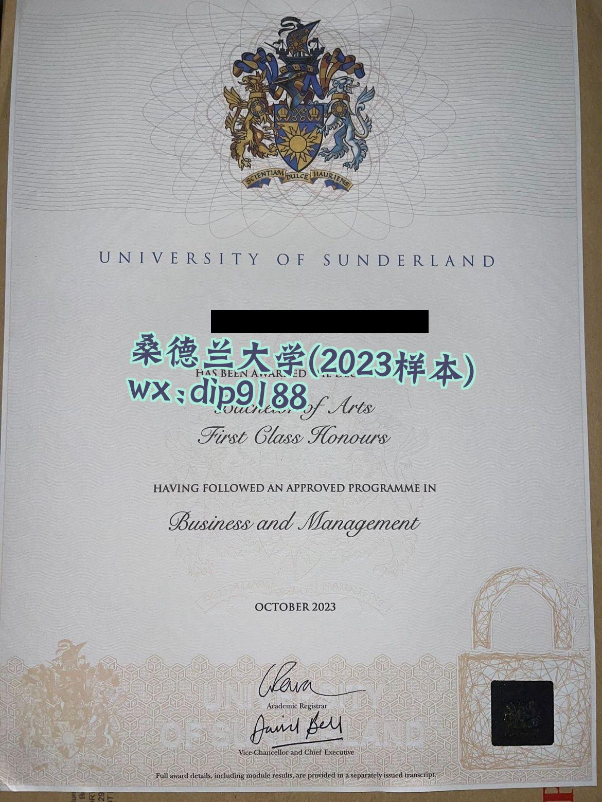 桑德兰大学学历2023毕业证样本图