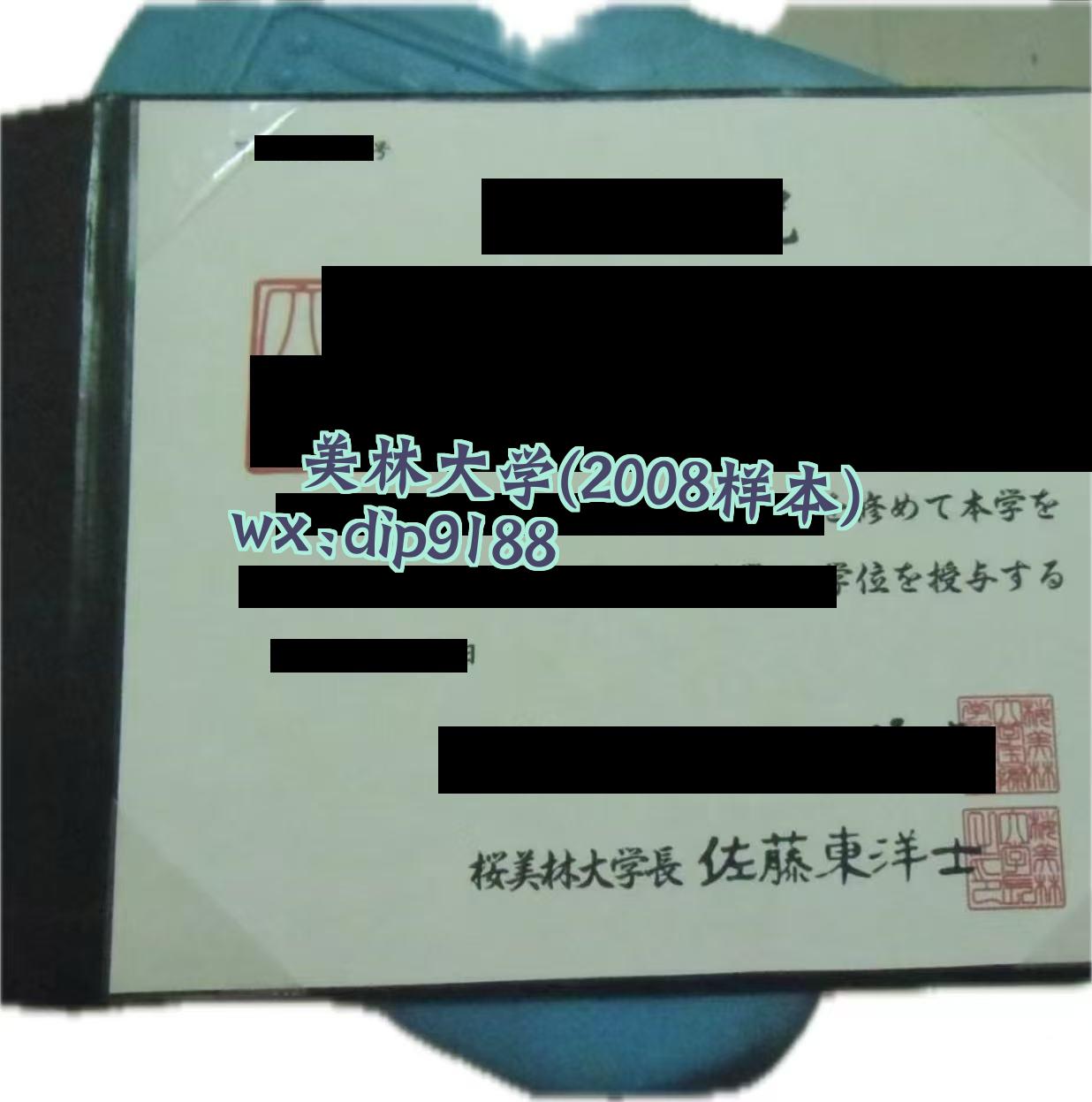 桜美林大学学历2008毕业证样本图