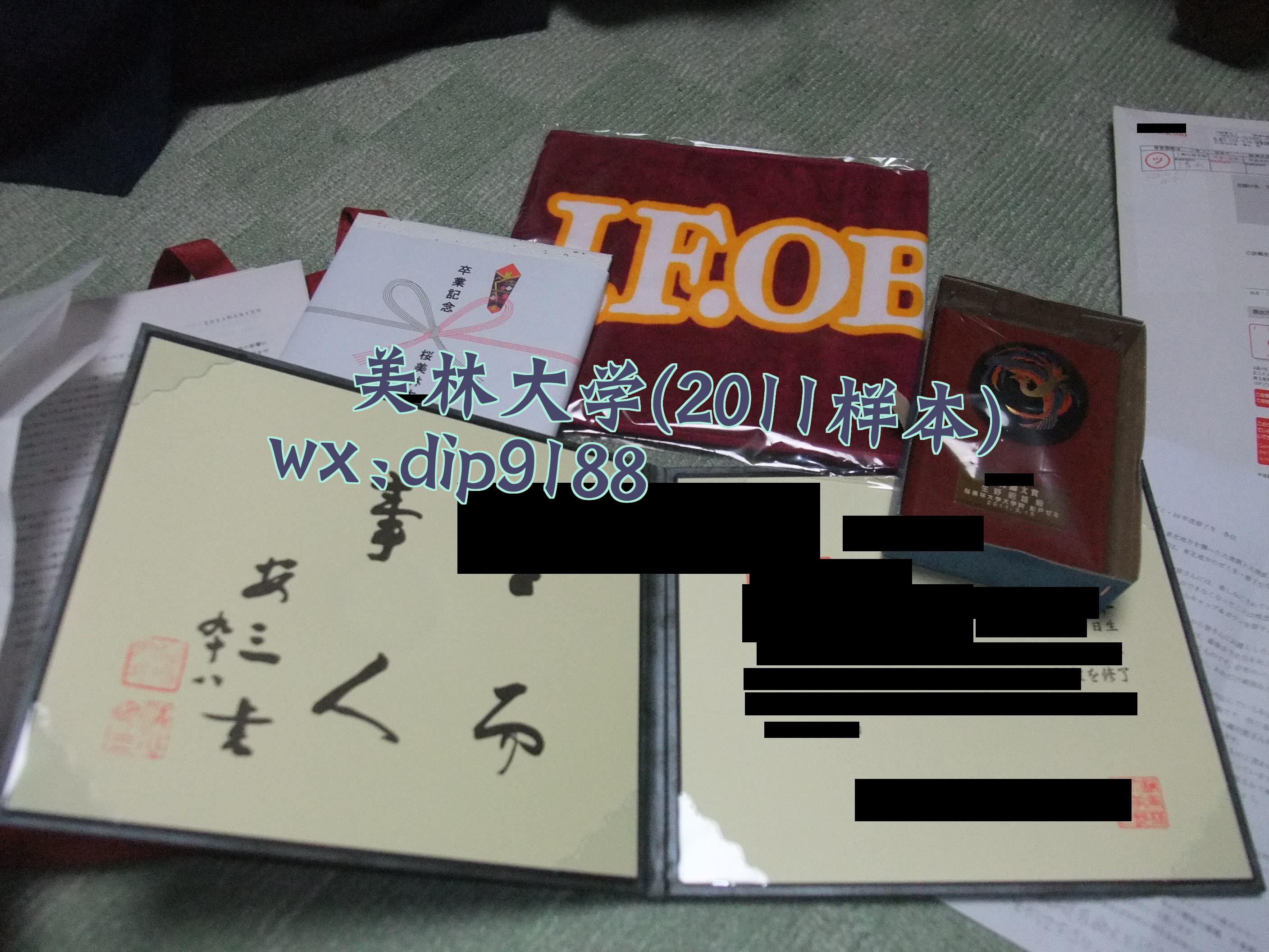 桜美林大学学历2011毕业证样本图