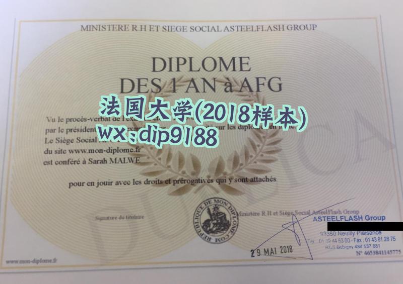 法国大学学历2018毕业证样本图