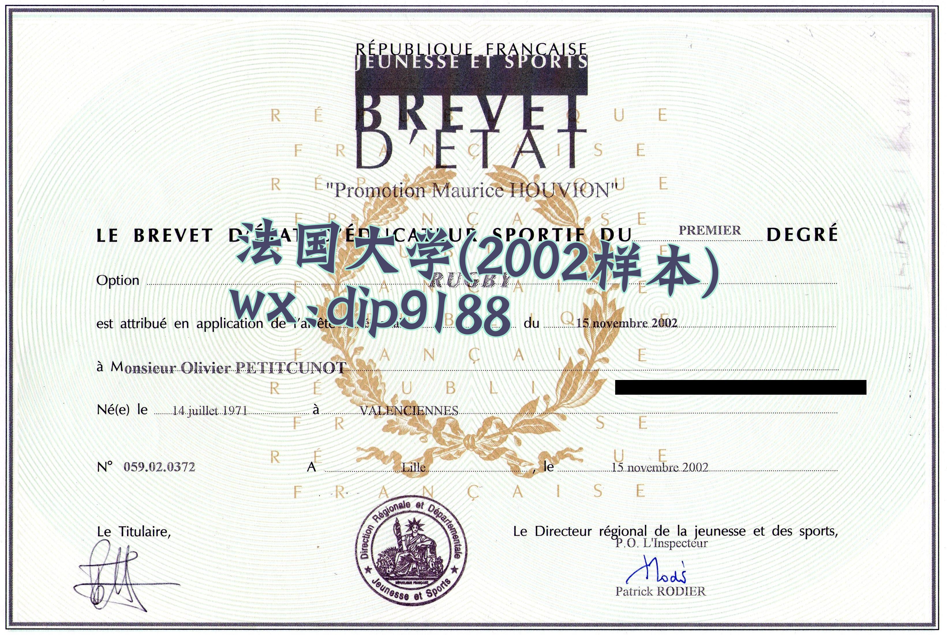法国大学学历2002毕业证样本图