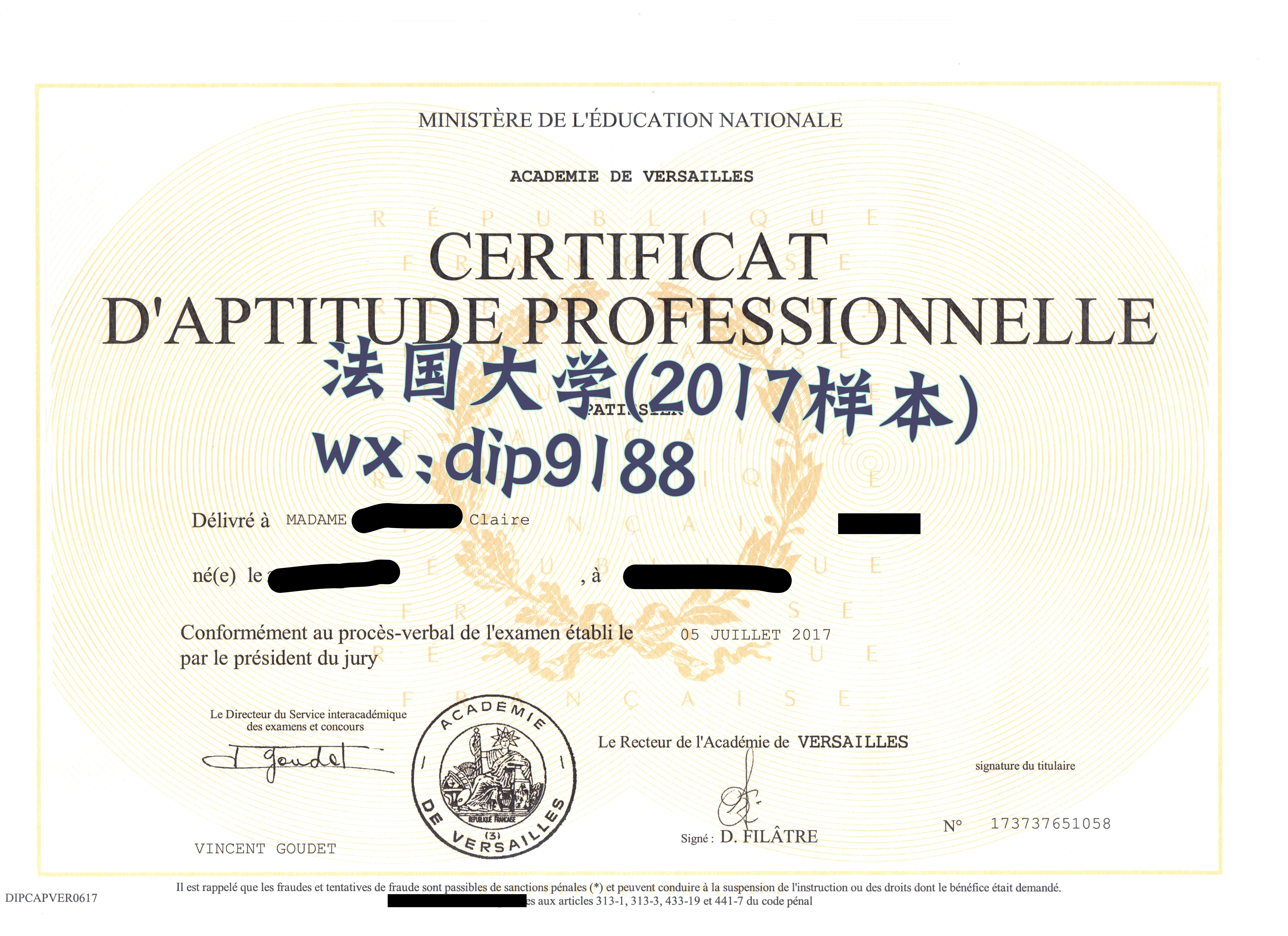 法国大学学历2017毕业证样本图