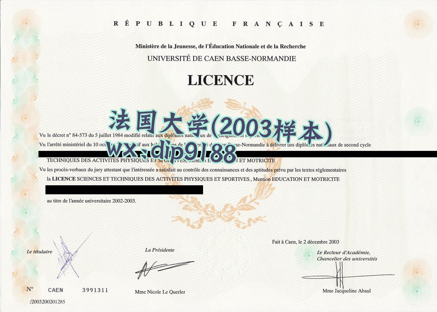 法国大学学历2003毕业证样本图