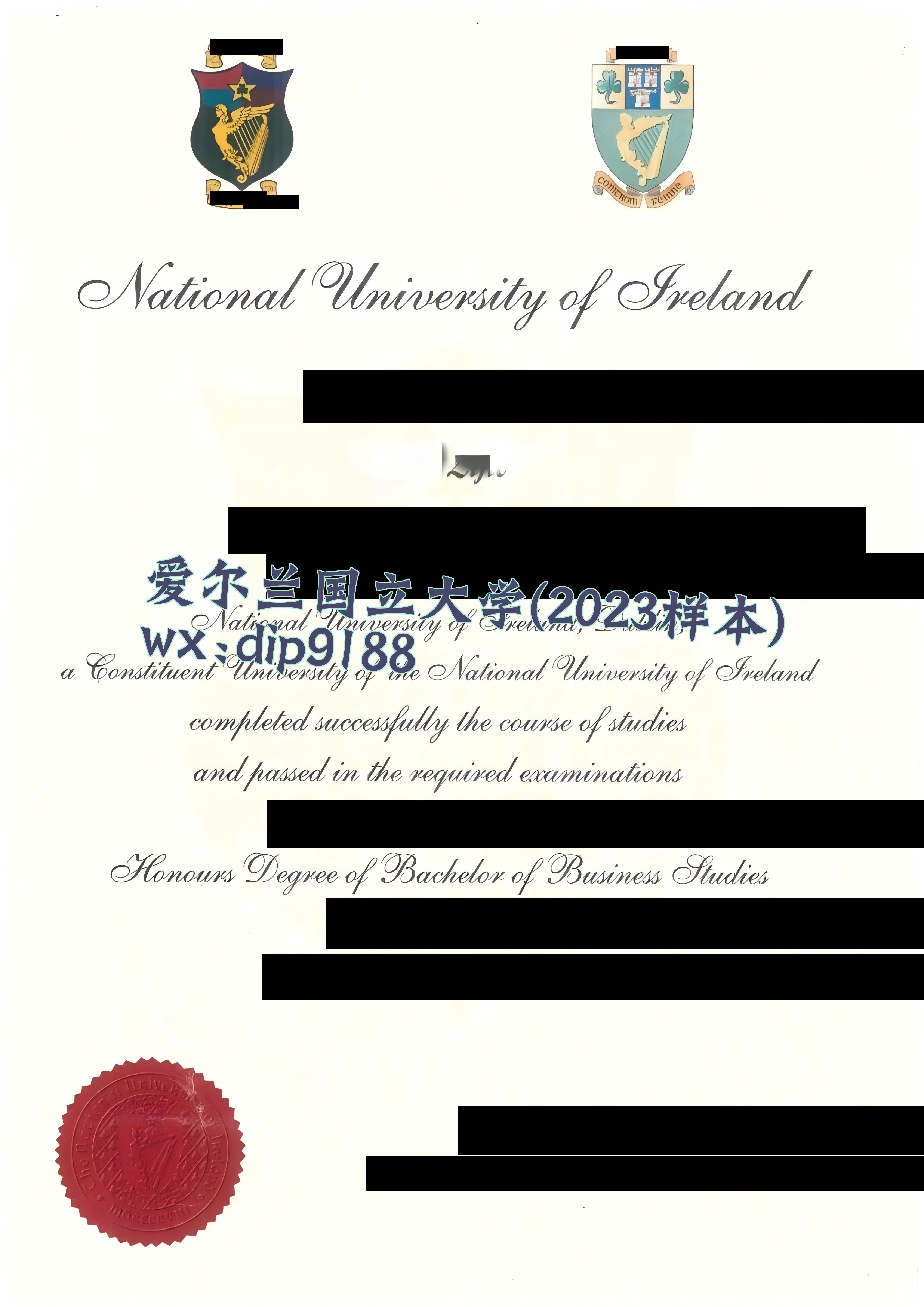 爱尔兰国立大学学历2023毕业证样本图