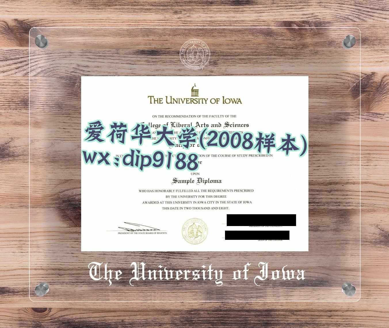 爱荷华大学学历2008毕业证样本图