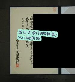 玉川大学学历1990毕业证样本图