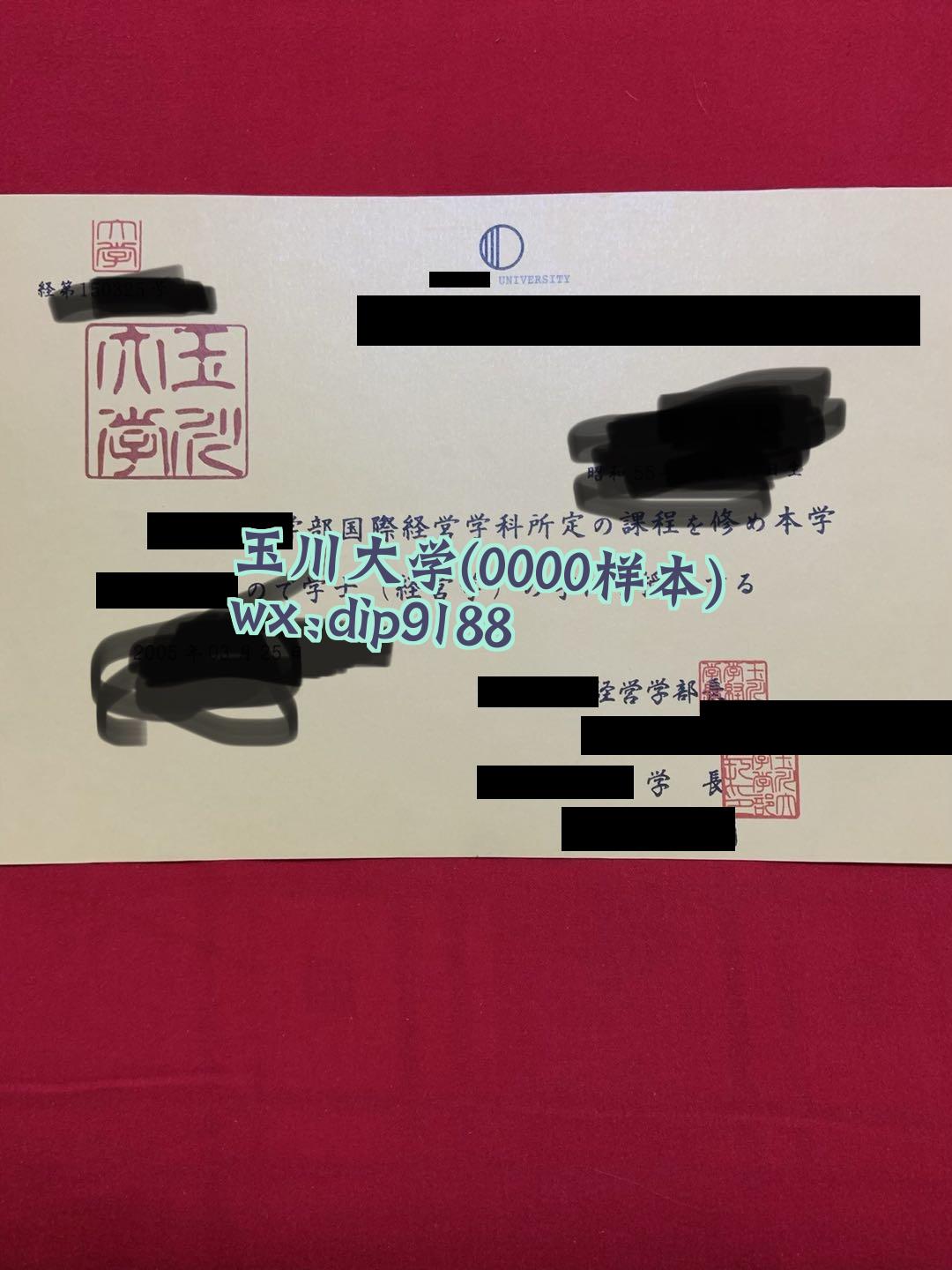 玉川大学学历0000毕业证样本图