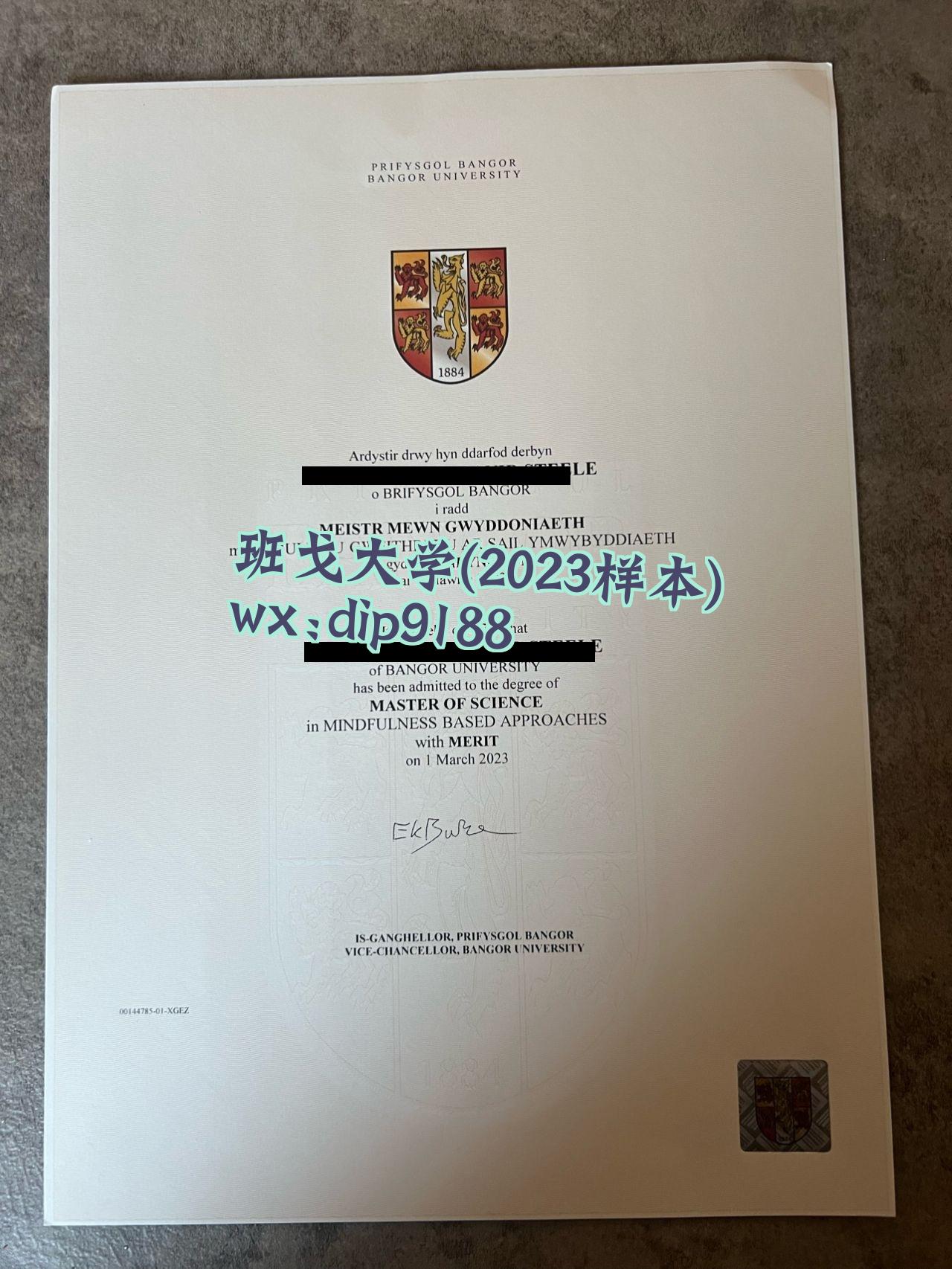 班戈大学学历2023毕业证样本图