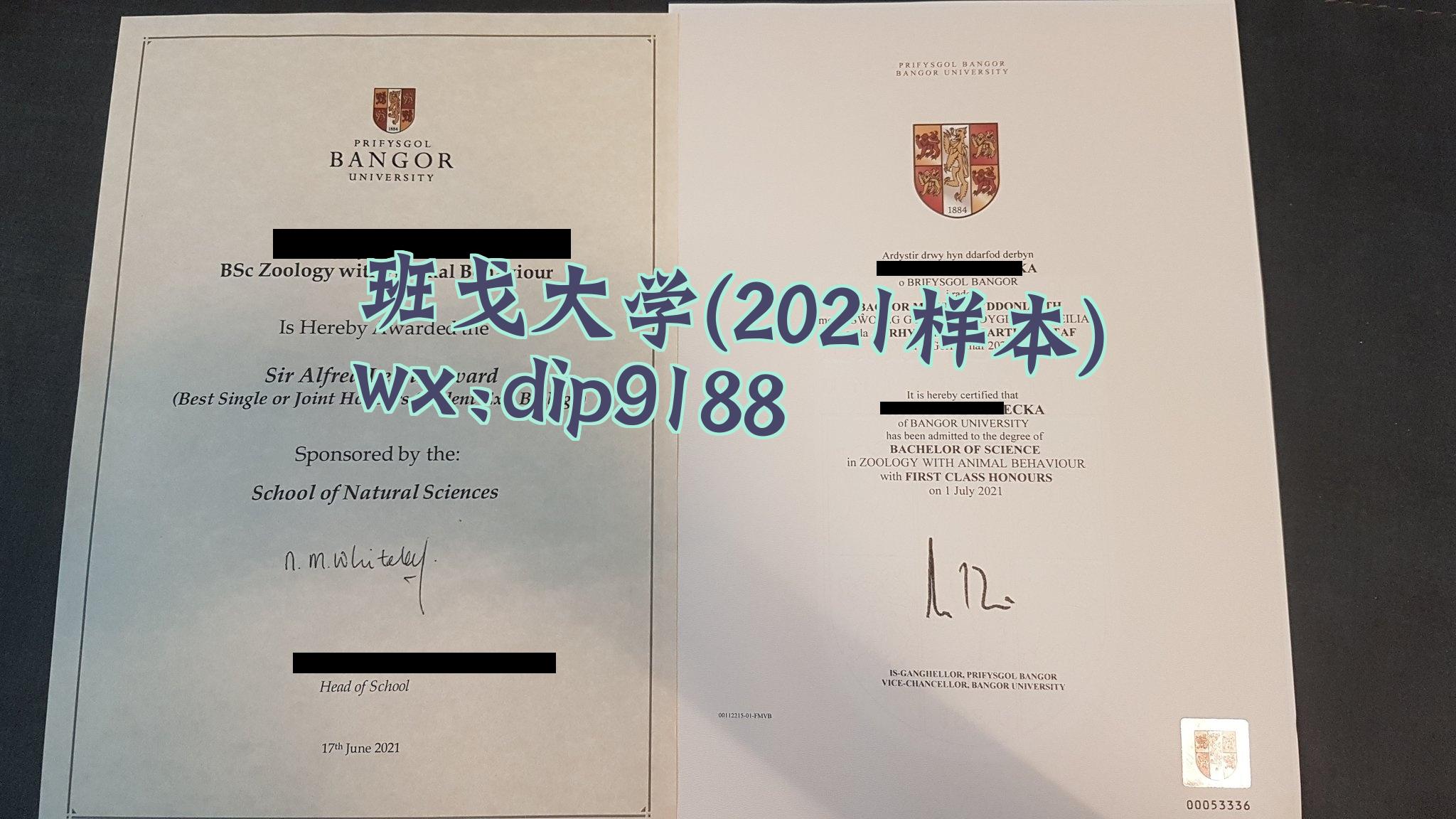 班戈大学学历2021毕业证样本图