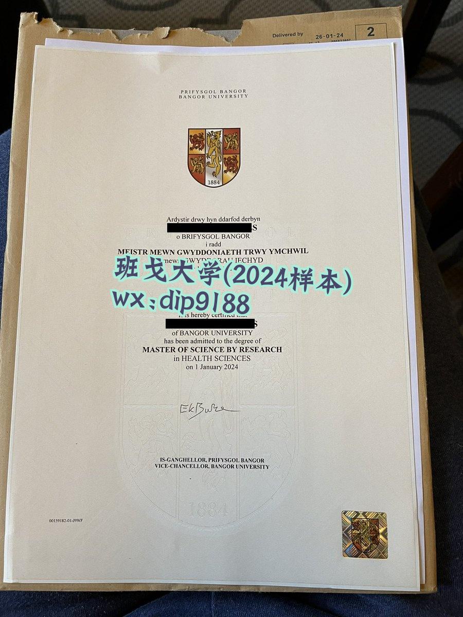 班戈大学学历2024毕业证样本图