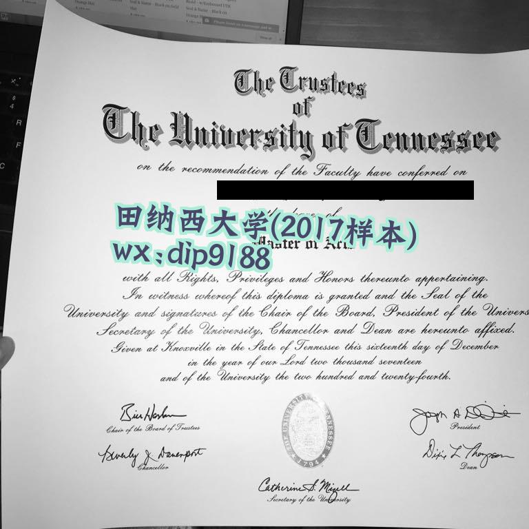 田纳西大学学历2017毕业证样本图
