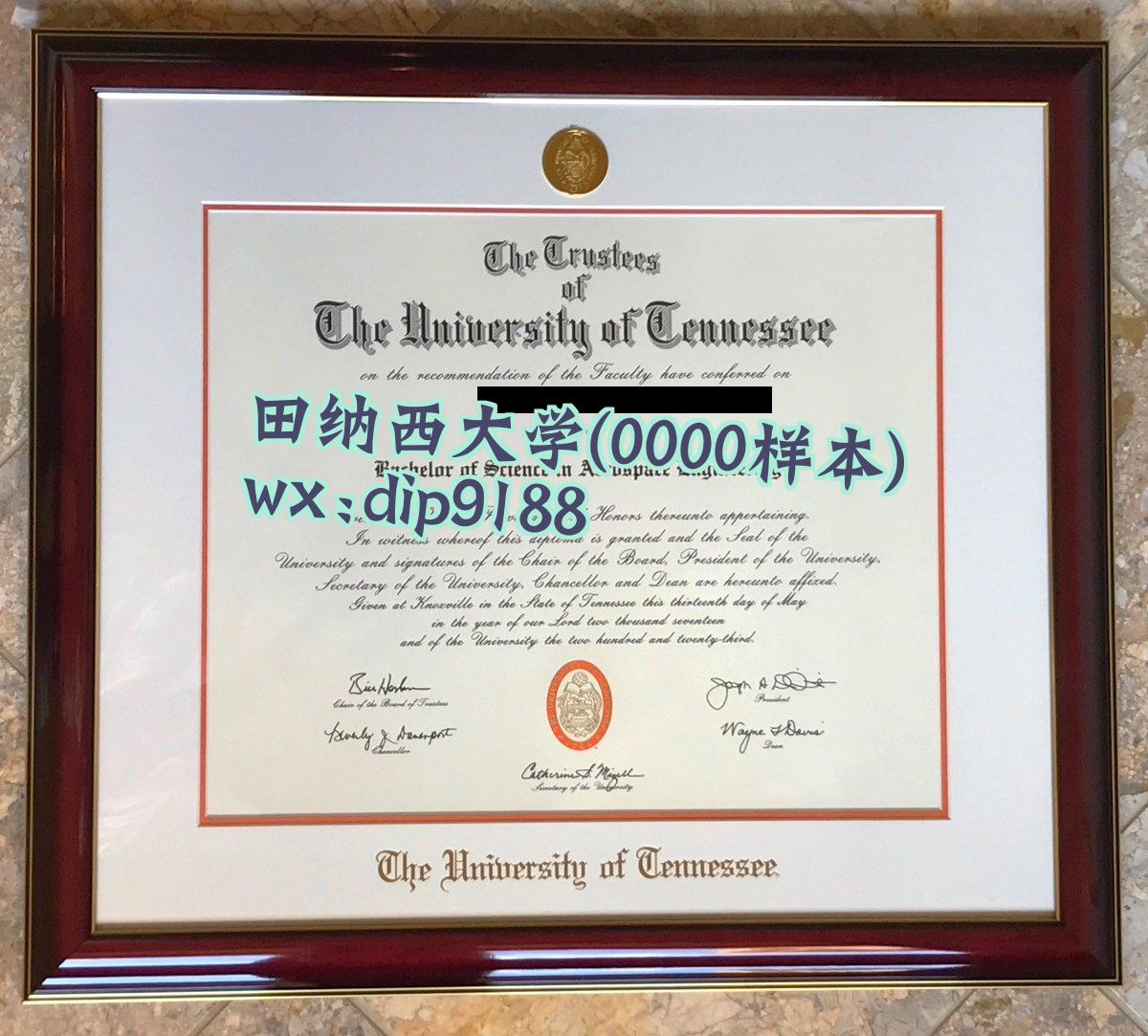 田纳西大学学历0000毕业证样本图