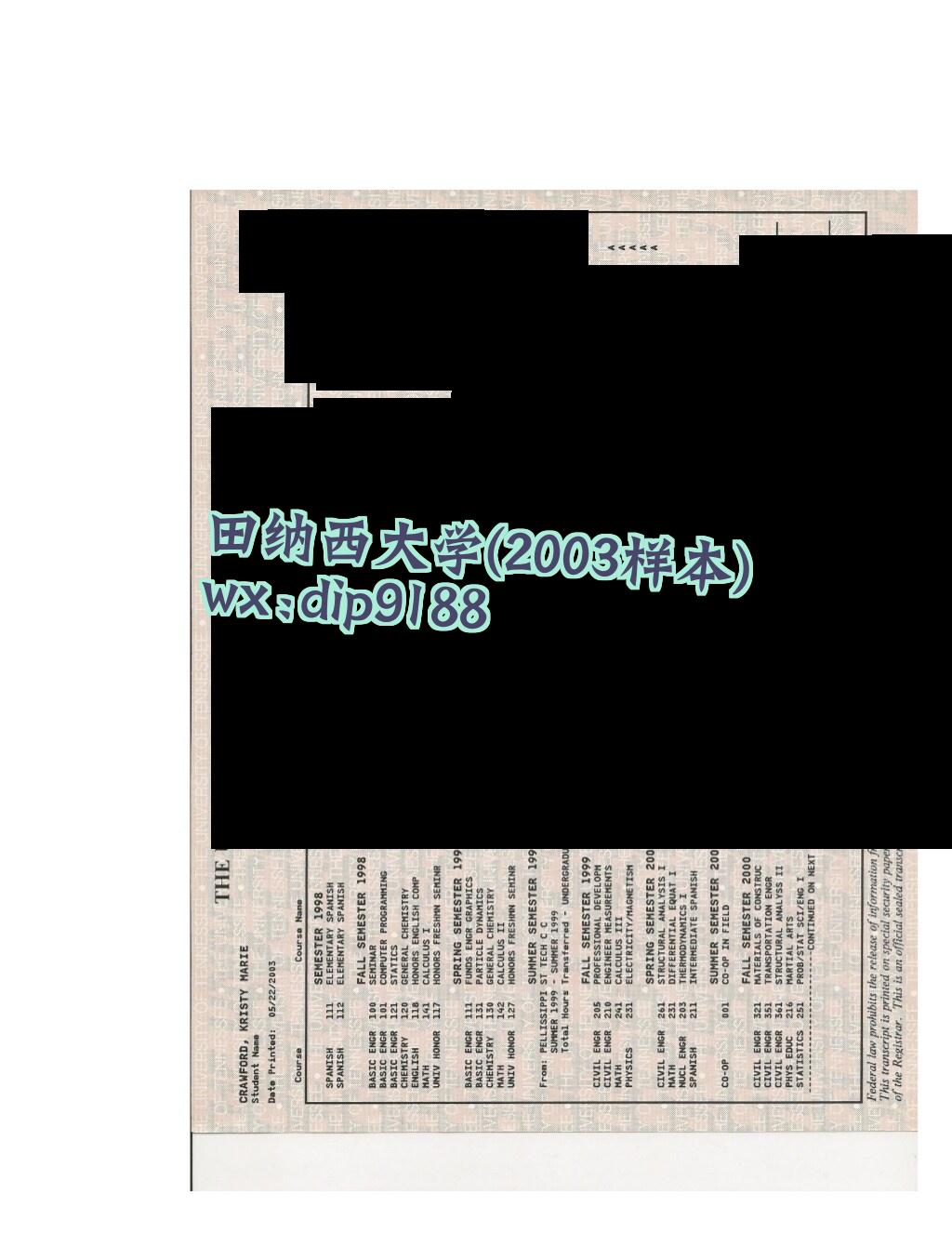 田纳西大学学历2003毕业证样本图