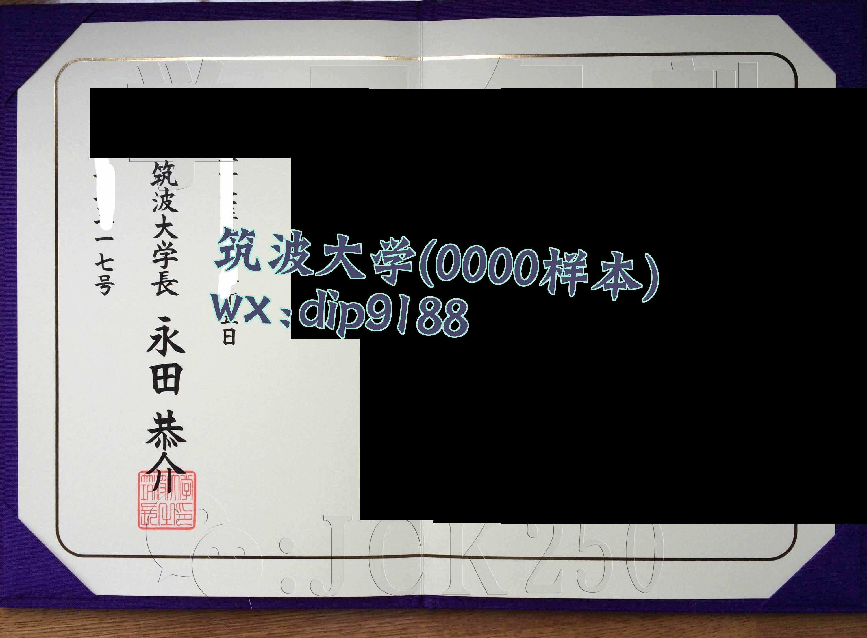 筑波大学学历0000毕业证样本图