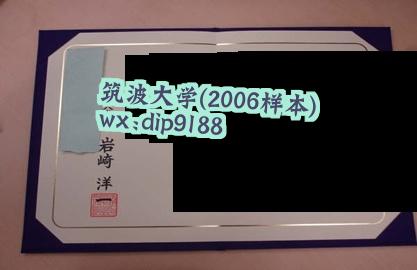 筑波大学学历2006毕业证样本图