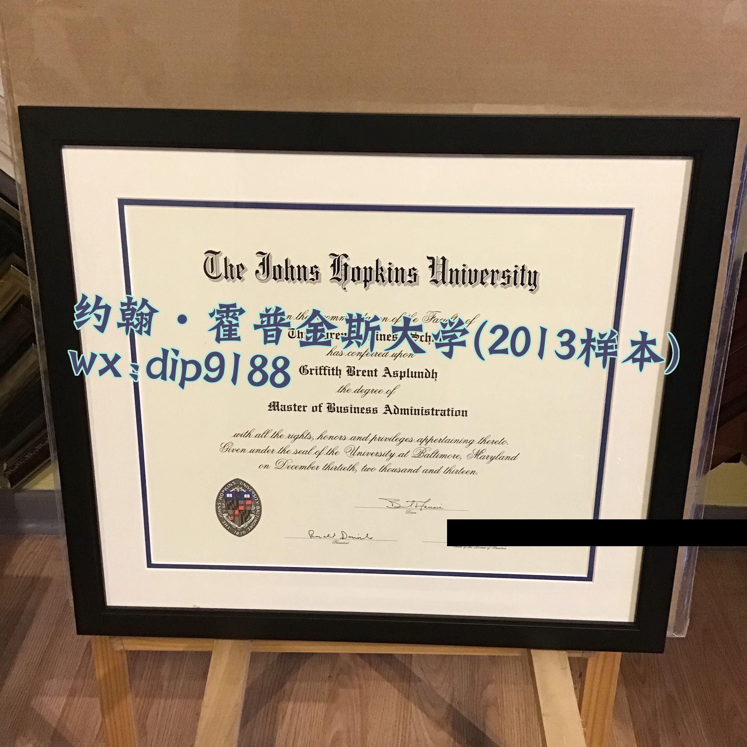 约翰·霍普金斯大学学历2013毕业证样本图