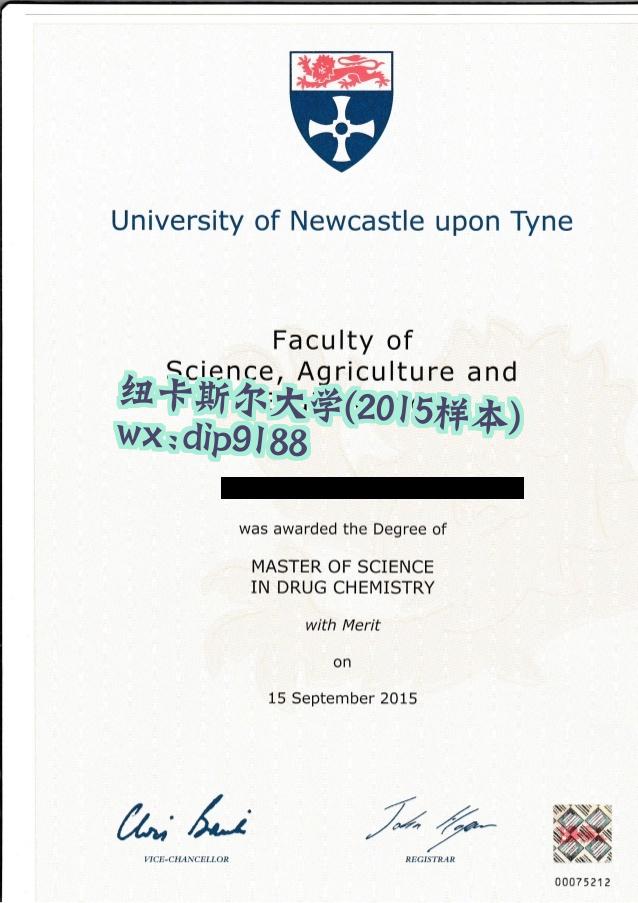 纽卡斯尔大学学历2015毕业证样本图