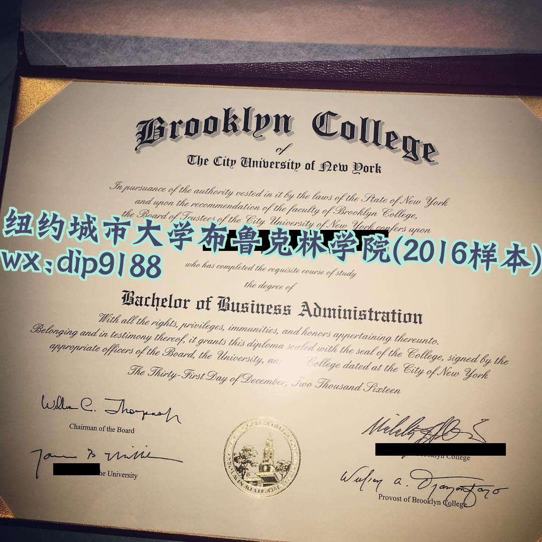 纽约城市大学布鲁克林学院学历2016毕业证样本图