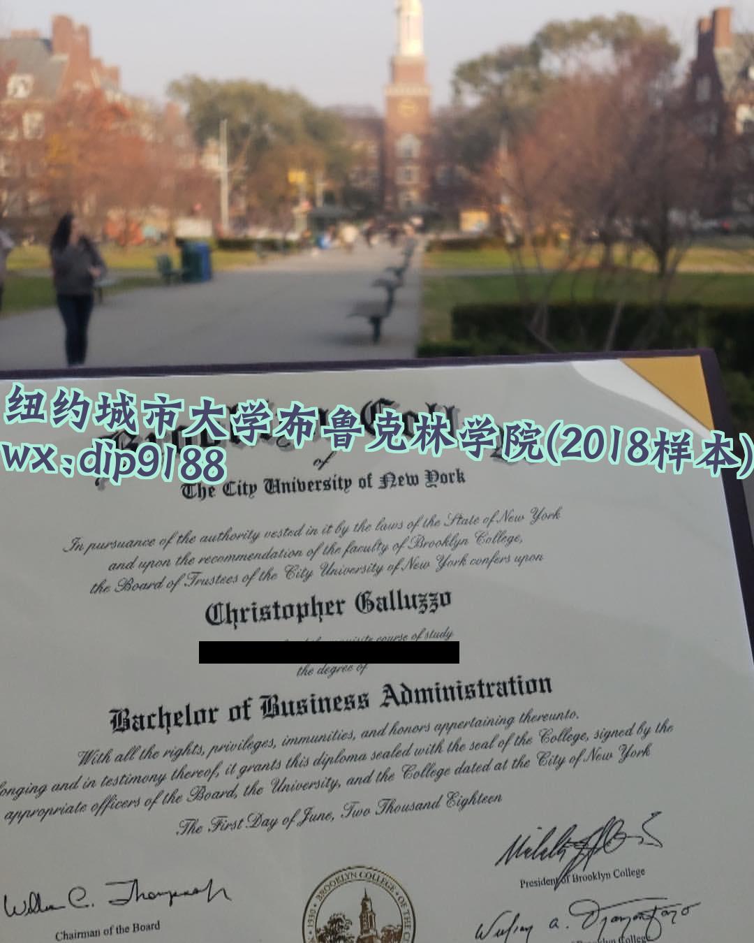 纽约城市大学布鲁克林学院学历2018毕业证样本图