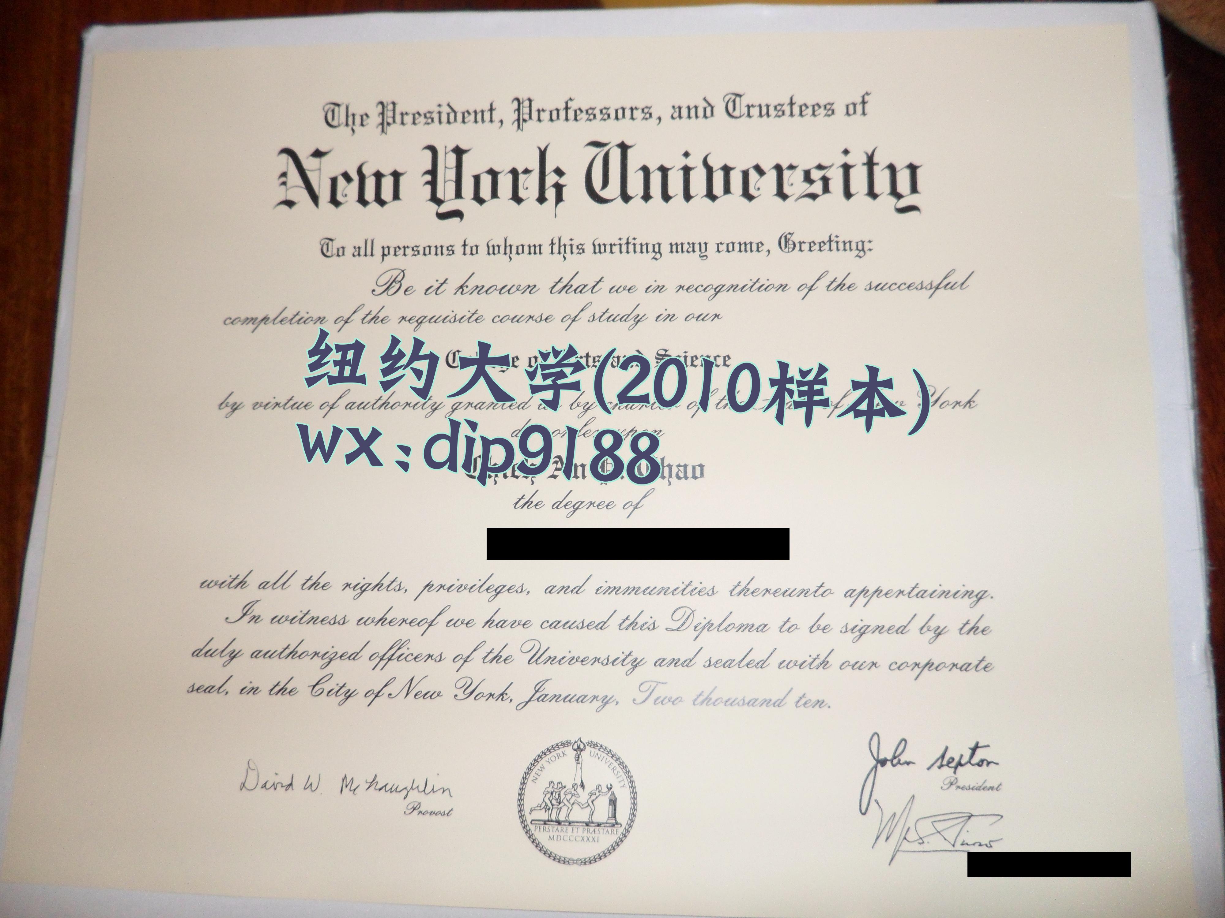纽约大学学历2010毕业证样本图