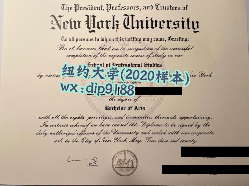 纽约大学学历2020毕业证样本图