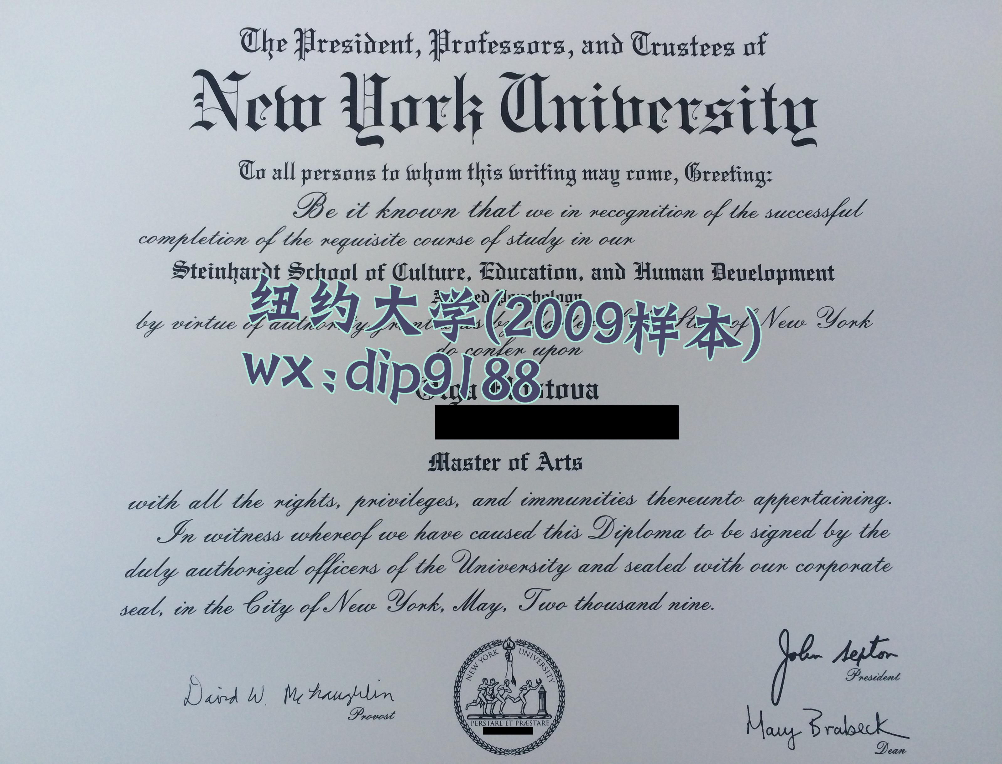 纽约大学学历2009毕业证样本图