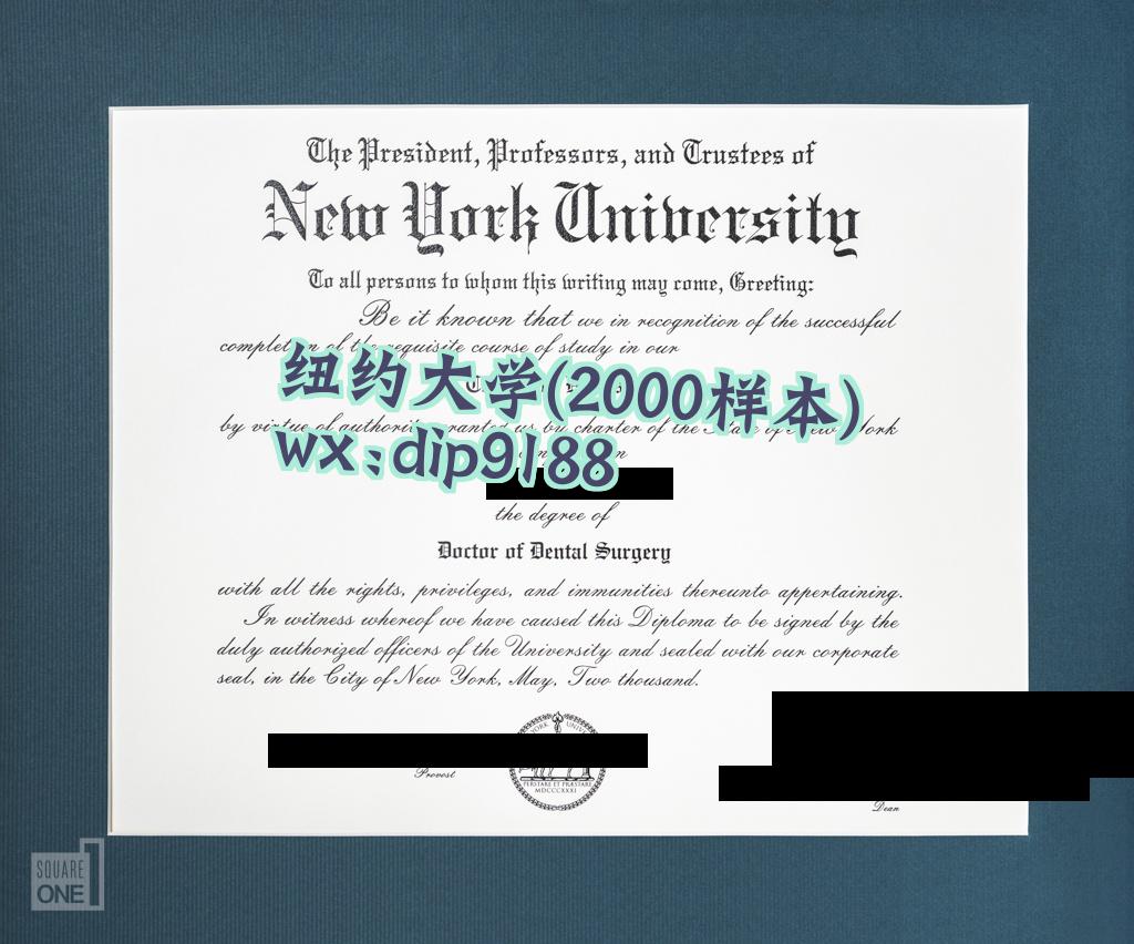 纽约大学学历2000毕业证样本图