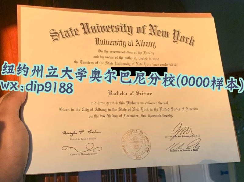 纽约州立大学奥尔巴尼分校学历0000毕业证样本图