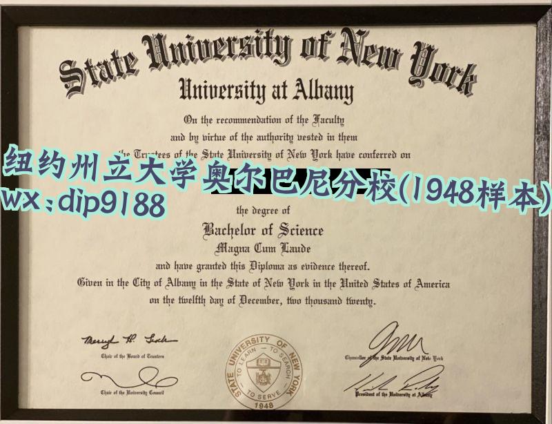 纽约州立大学奥尔巴尼分校学历1948毕业证样本图