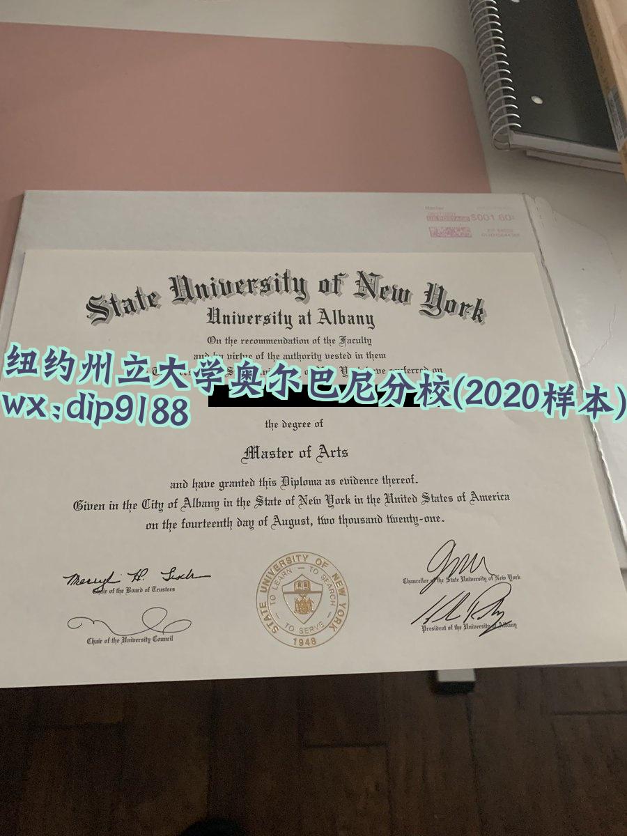 纽约州立大学奥尔巴尼分校学历2020毕业证样本图