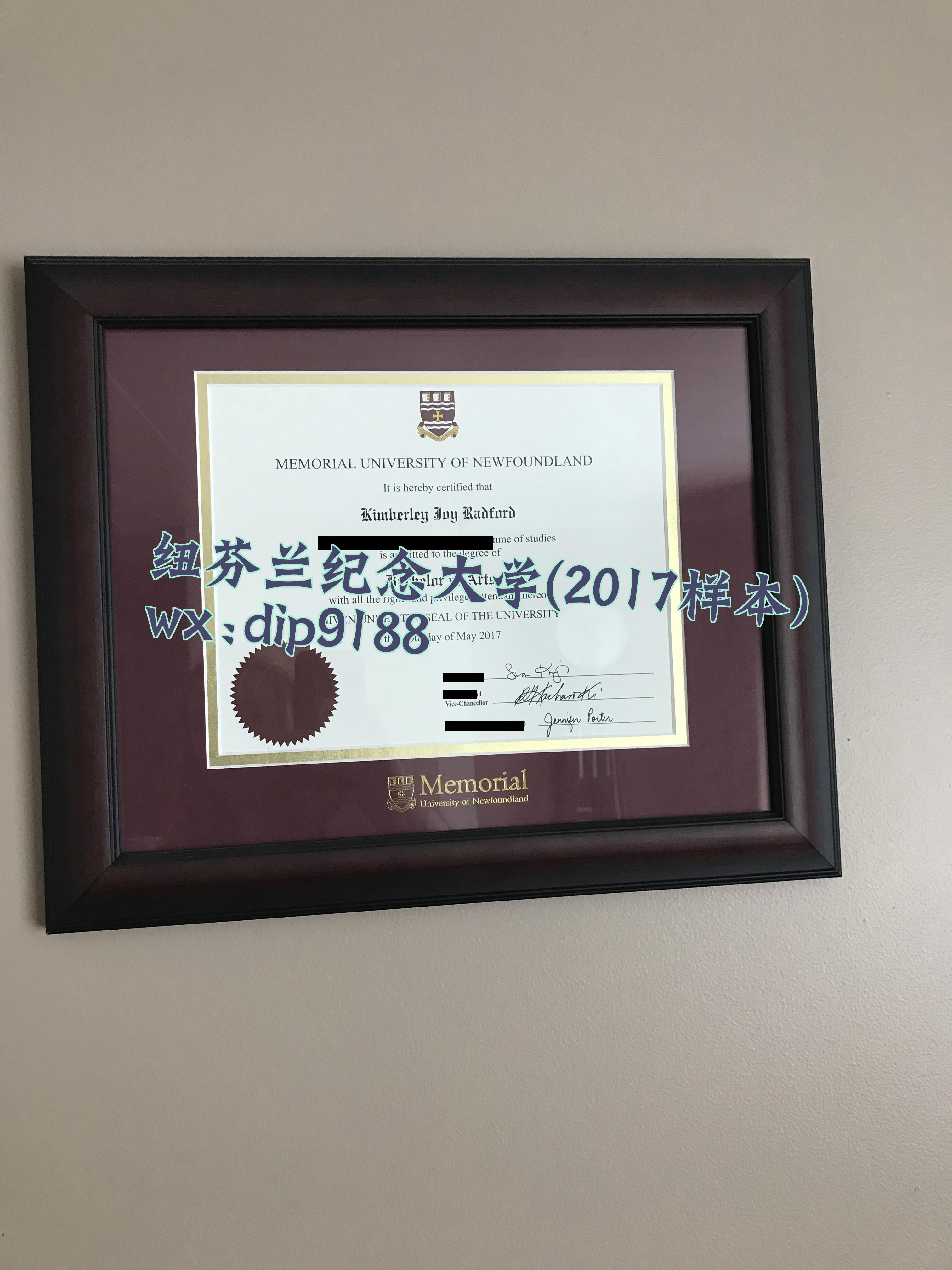 纽芬兰纪念大学学历2017毕业证样本图