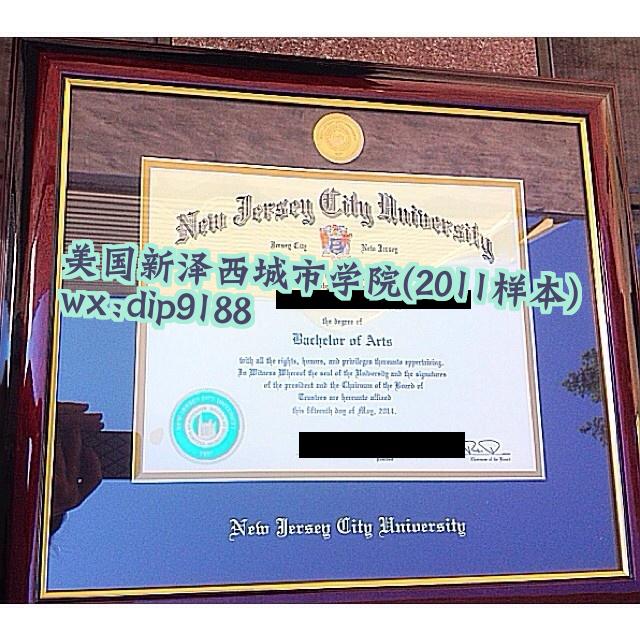 美国新泽西城市学院学历2011毕业证样本图