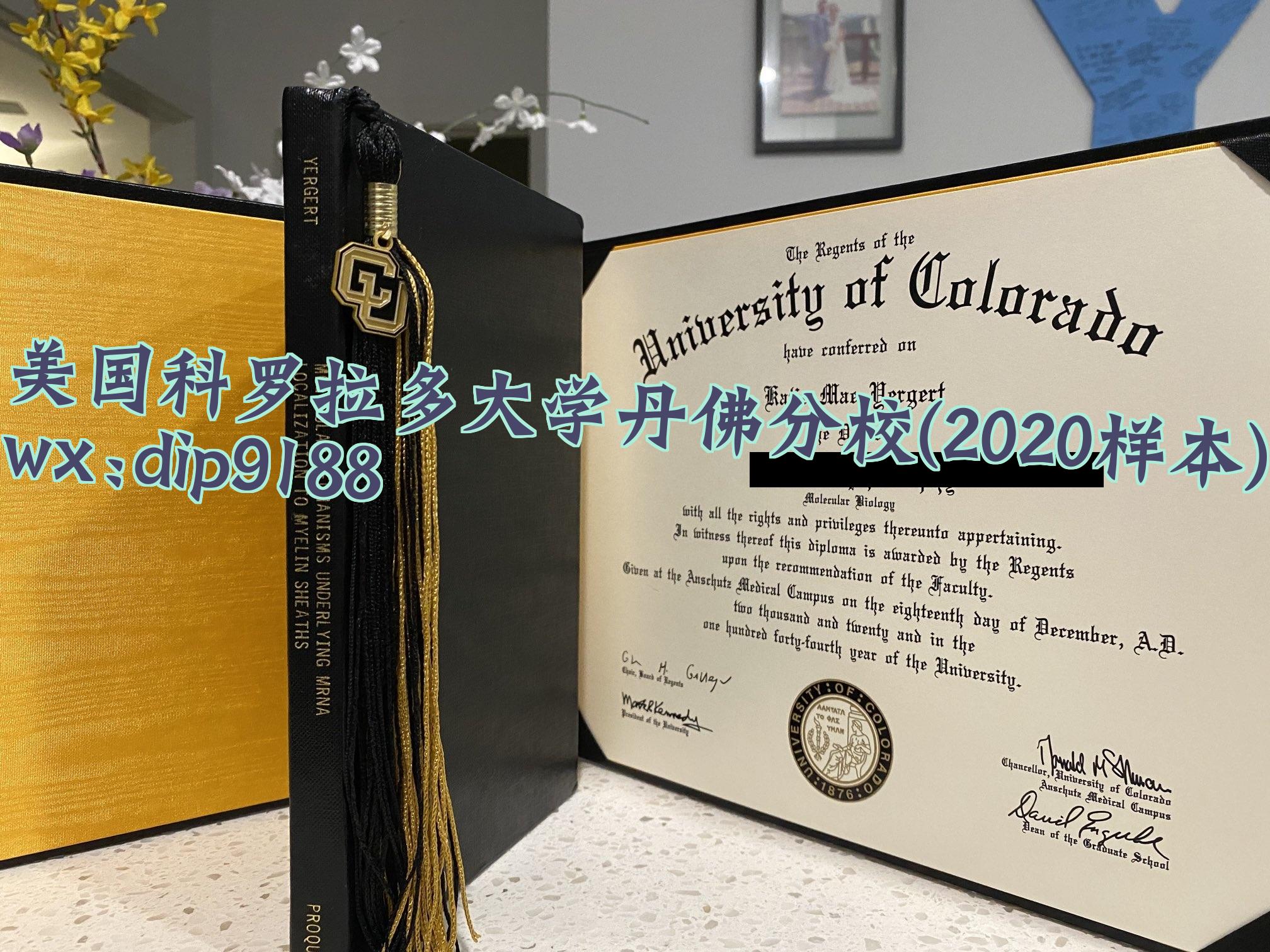 美国科罗拉多大学丹佛分校学历2020毕业证样本图