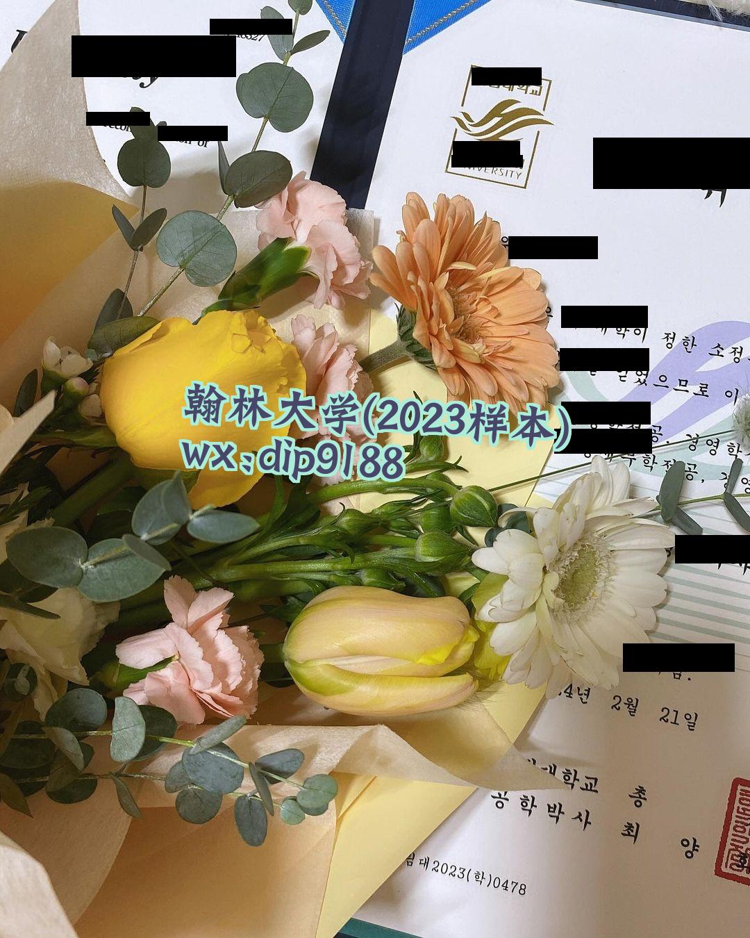 翰林大学学历2023毕业证样本图