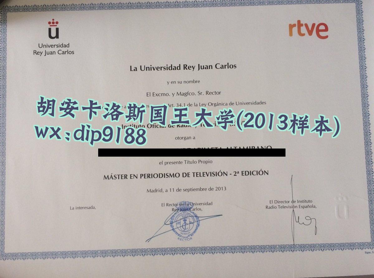 胡安卡洛斯国王大学学历2013毕业证样本图