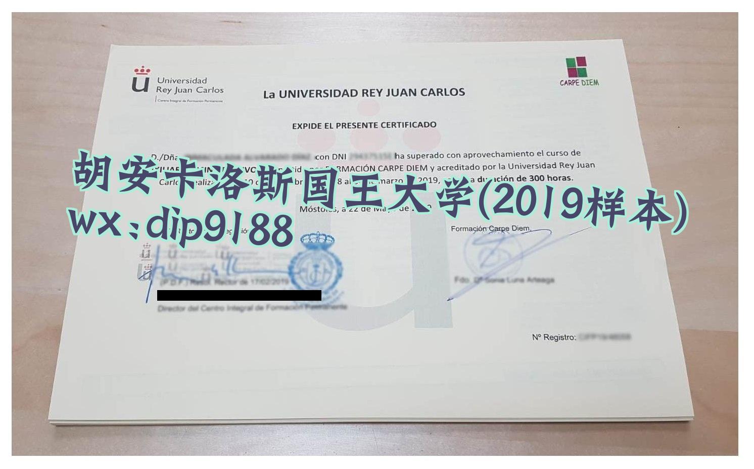 胡安卡洛斯国王大学学历2019毕业证样本图