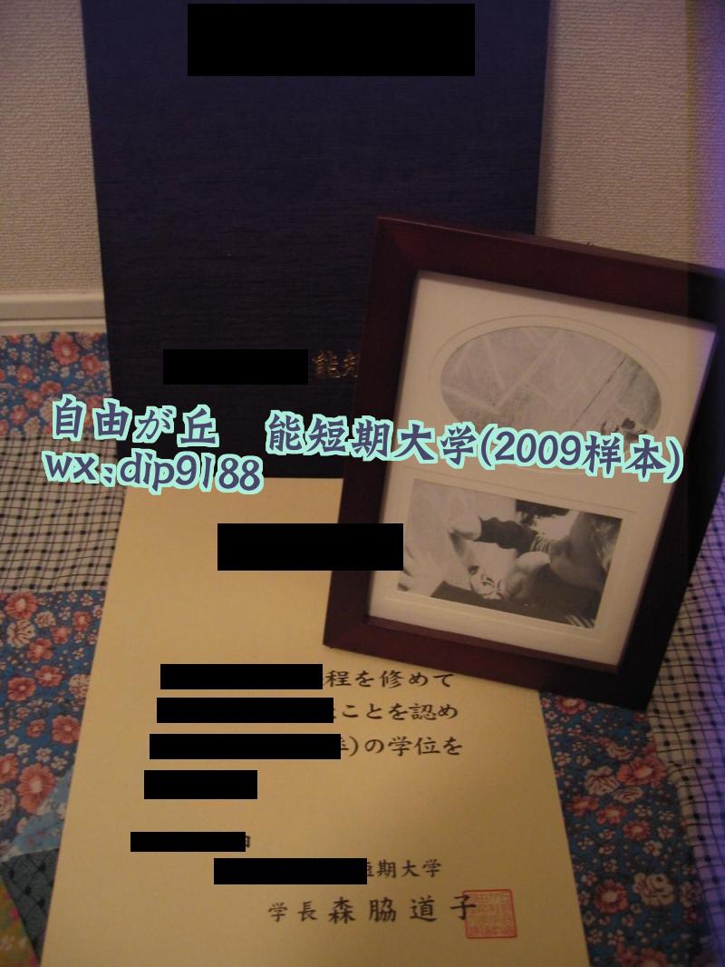 自由が丘産能短期大学学历2009毕业证样本图