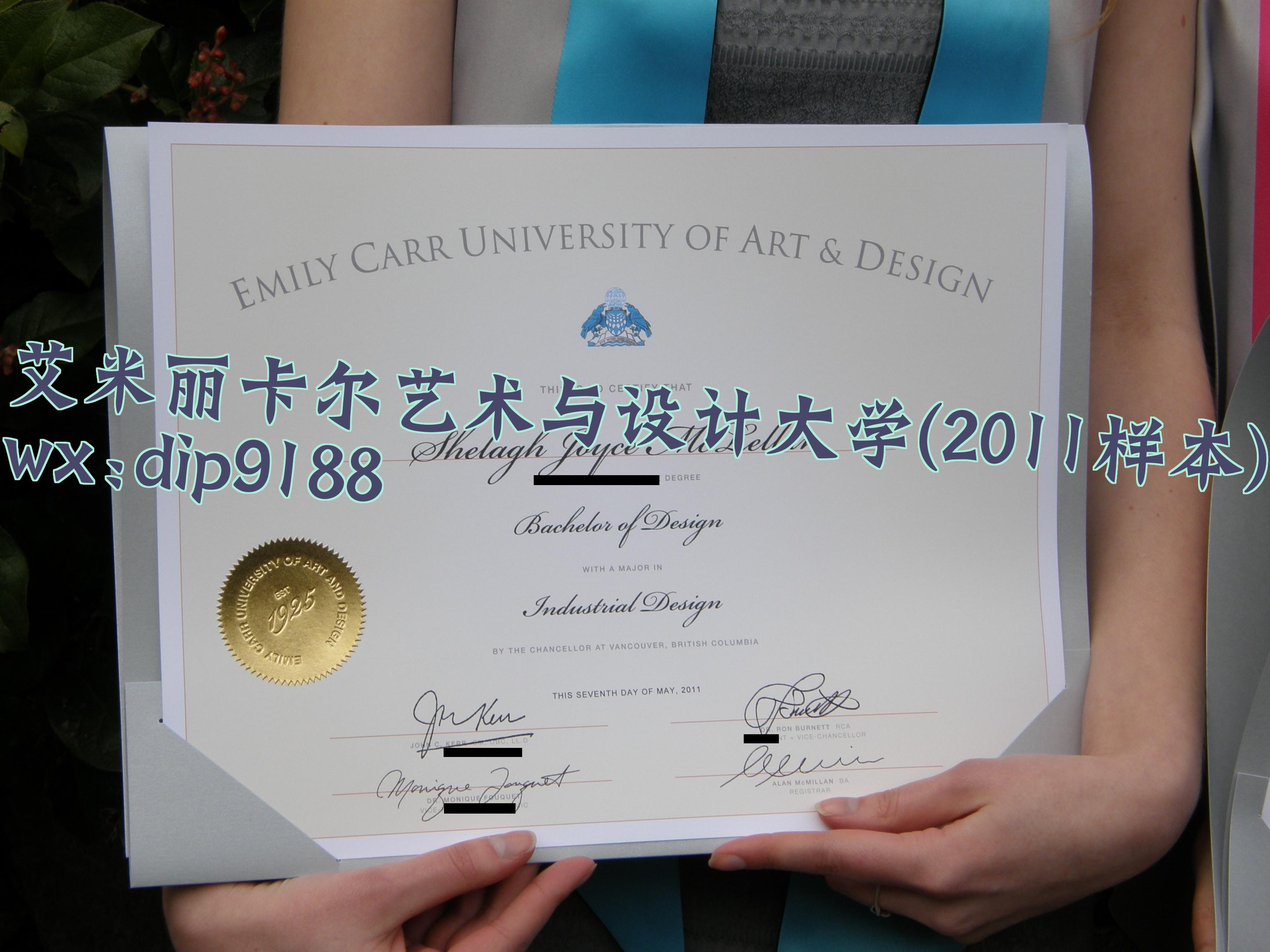艾米丽卡尔艺术与设计大学学历2011毕业证样本图