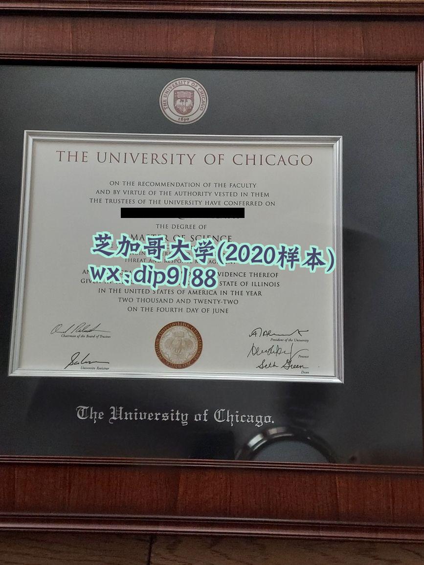 芝加哥大学学历2020毕业证样本图