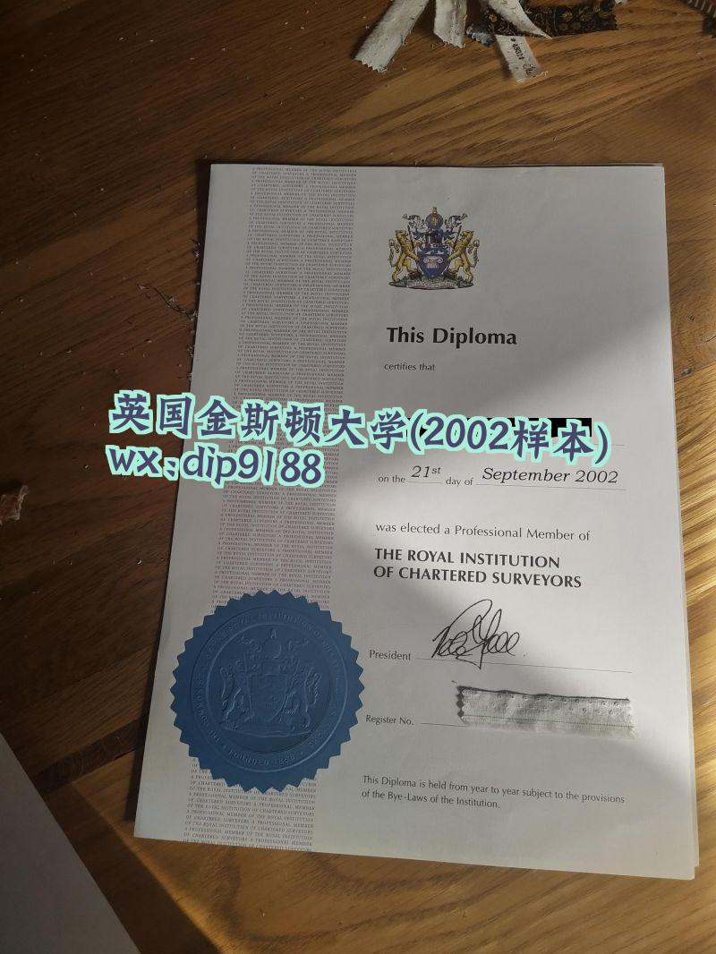 英国金斯顿大学学历2002毕业证样本图