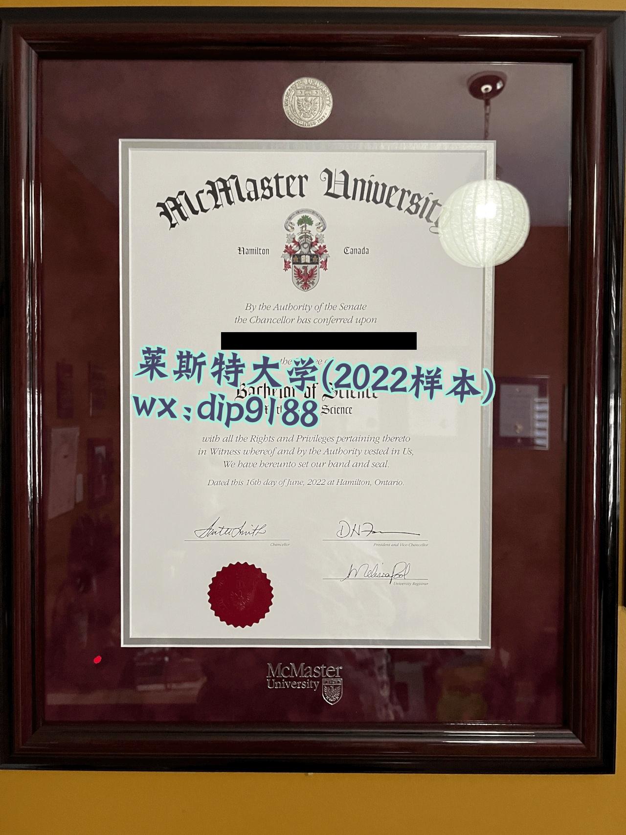 莱斯特大学学历2022毕业证样本图