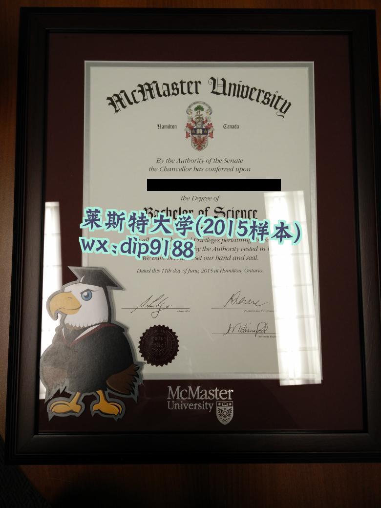 莱斯特大学学历2015毕业证样本图
