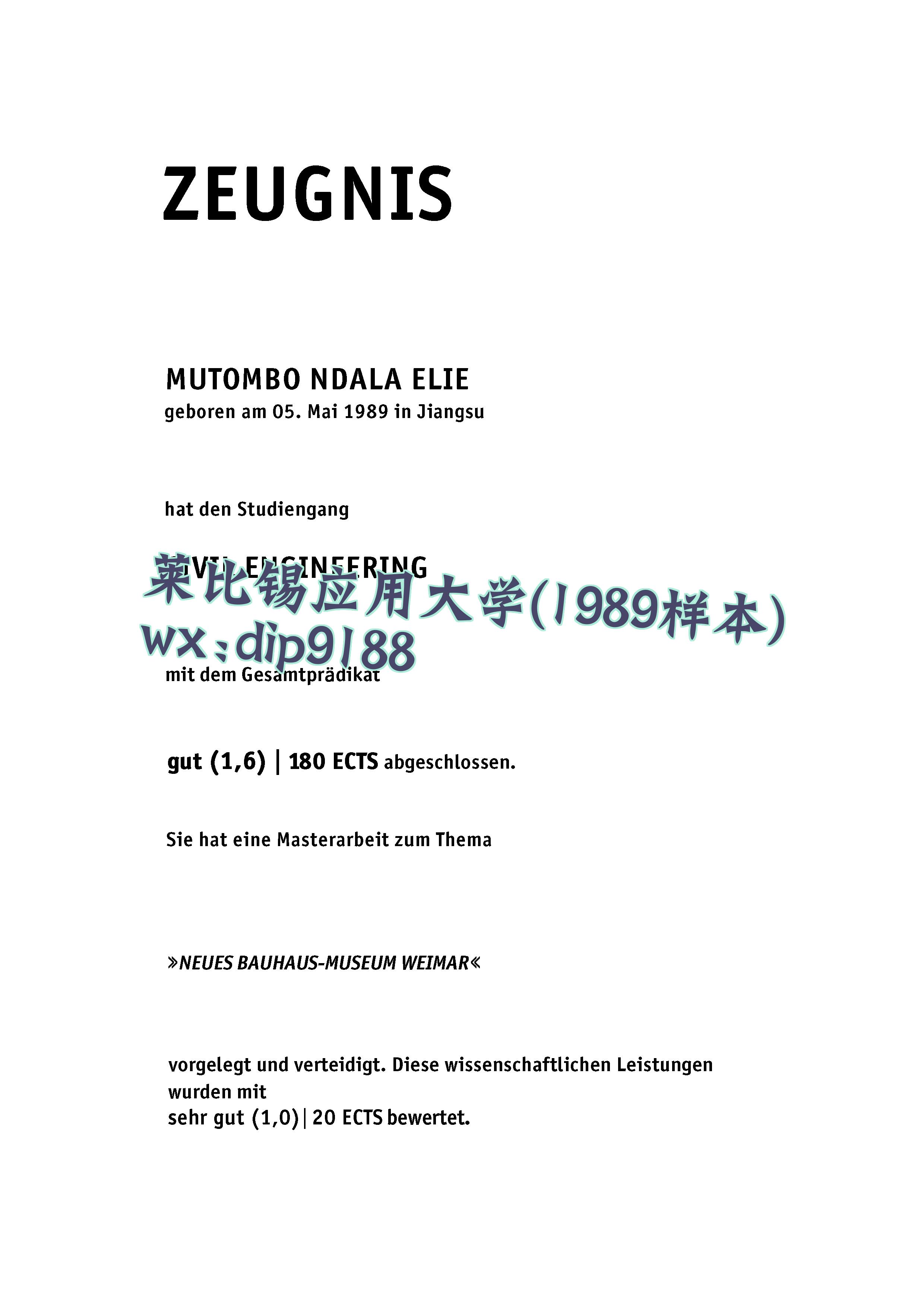 莱比锡应用大学学历1989毕业证样本图