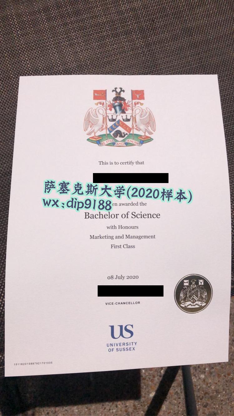 萨塞克斯大学学历2020毕业证样本图