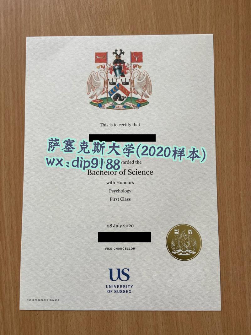 萨塞克斯大学学历2020毕业证样本图