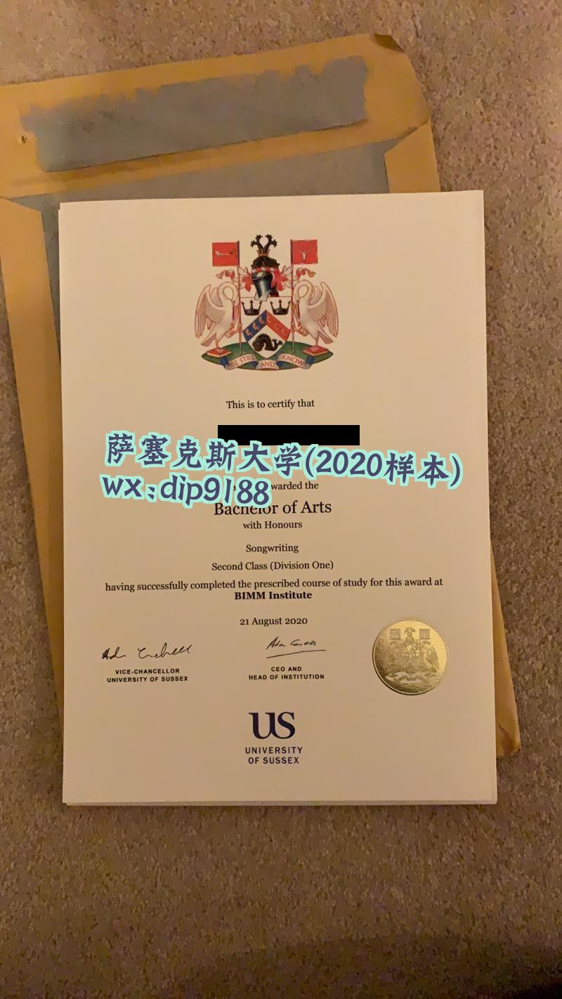萨塞克斯大学学历2020毕业证样本图