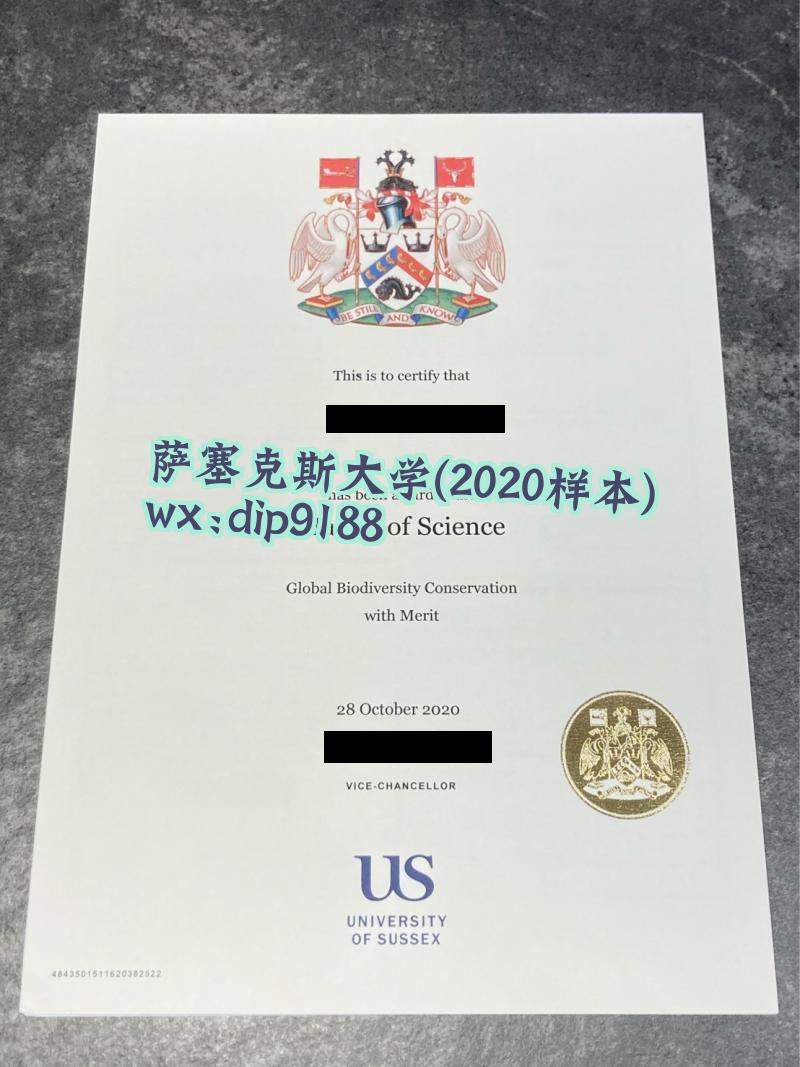 萨塞克斯大学学历2020毕业证样本图