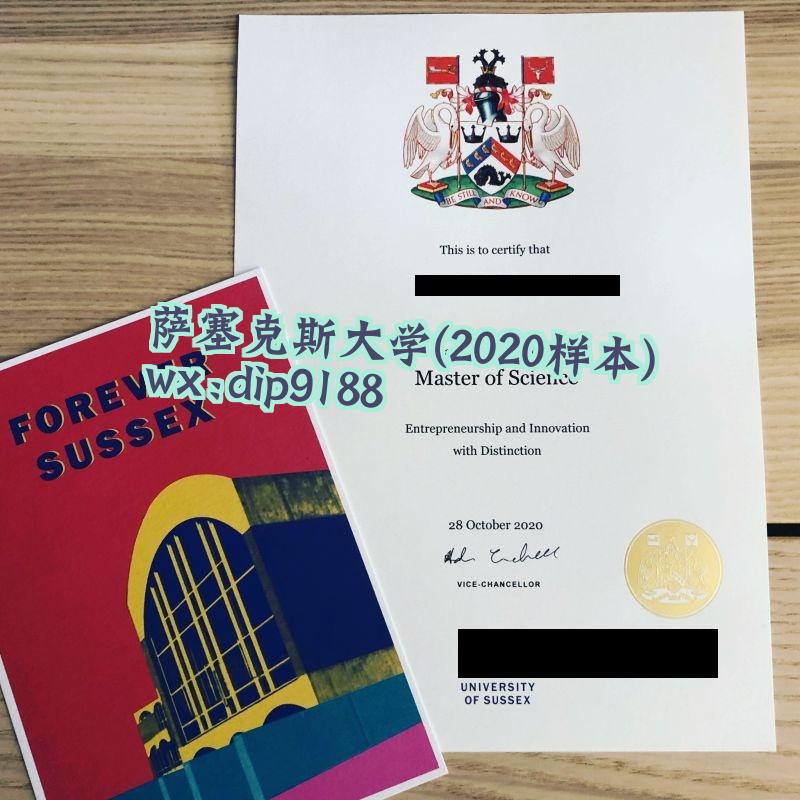 萨塞克斯大学学历2020毕业证样本图