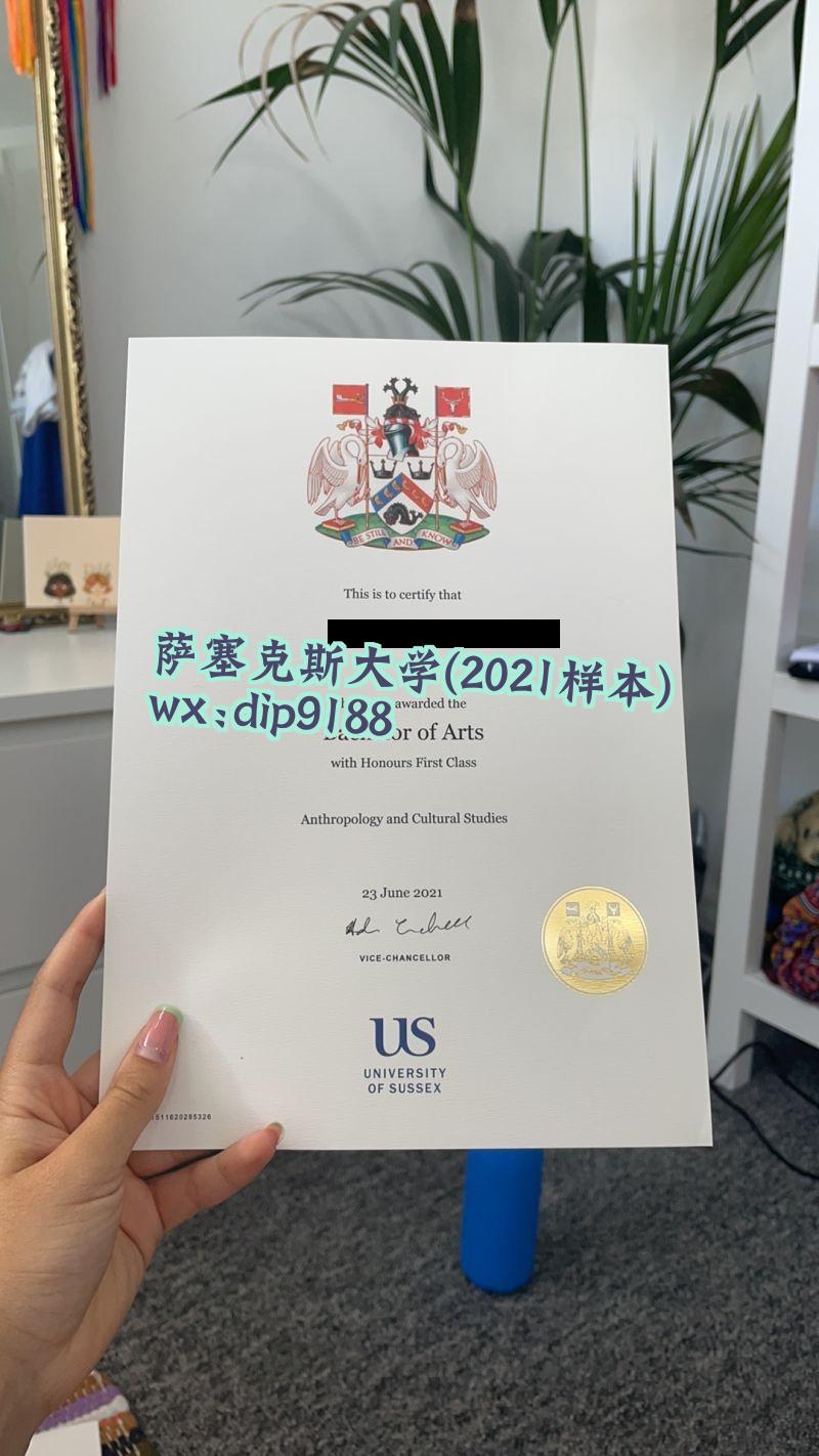 萨塞克斯大学学历2021毕业证样本图