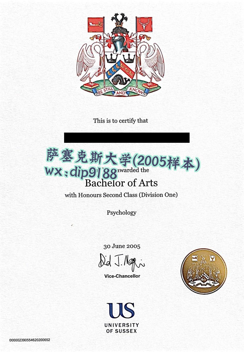 萨塞克斯大学学历2005毕业证样本图